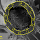 A cross-section of a bed bug leg. Image D. G. Lilly et al., 2016/PLOS One